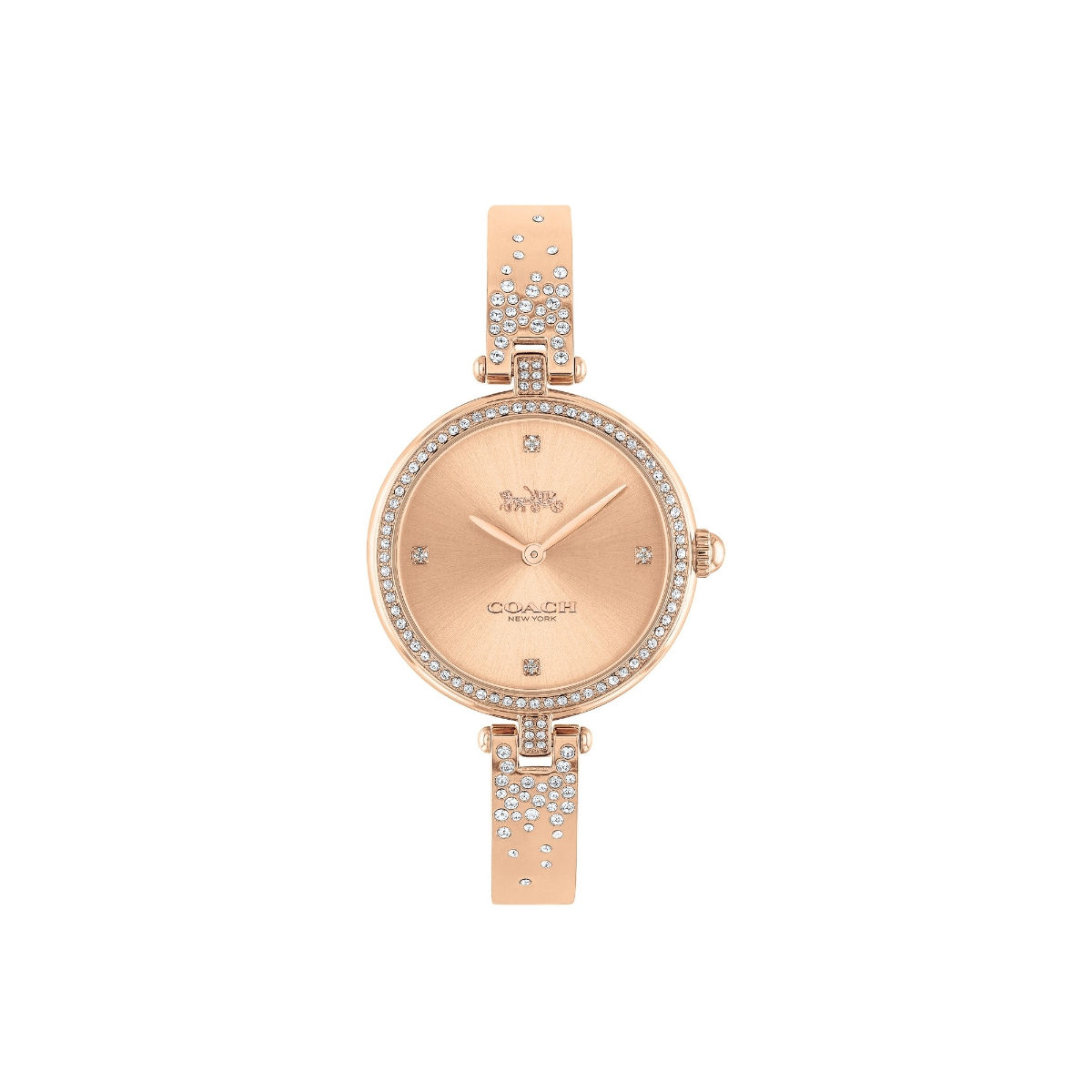 Buy Coach Park Qtz Basic Rose Gold Round Dial Women Watch