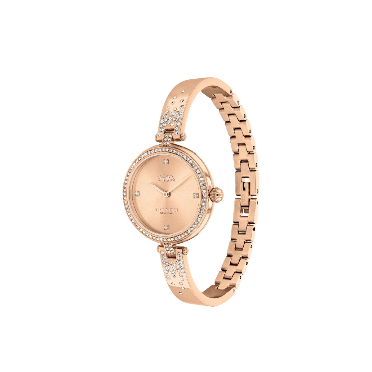 Buy Coach Park Qtz Basic Rose Gold Round Dial Women Watch