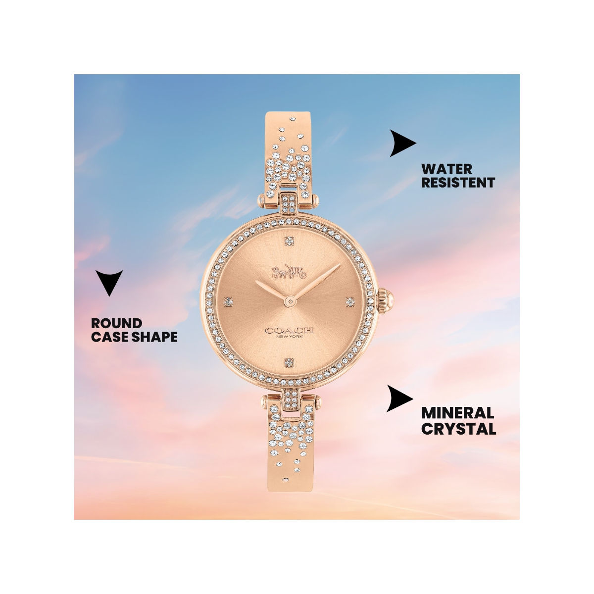 Buy Coach Park Qtz Basic Rose Gold Round Dial Women Watch