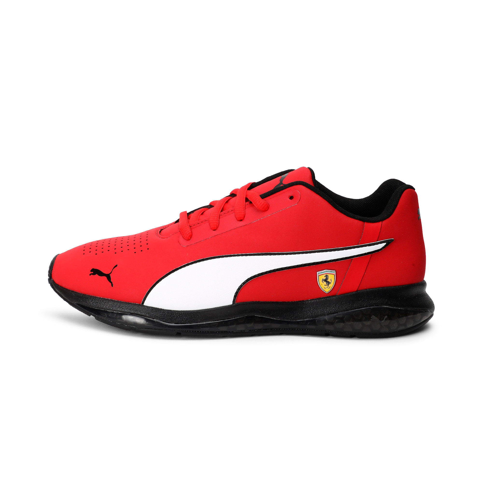 Puma cell clearance ferrari