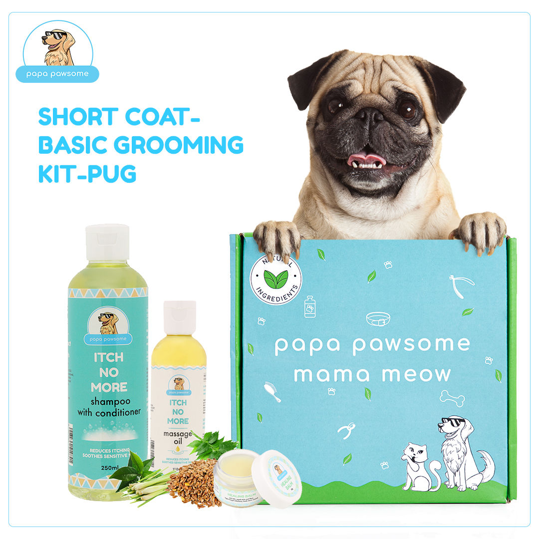 Papa Pawsome Short Coat - Pug - Basic Grooming Kit