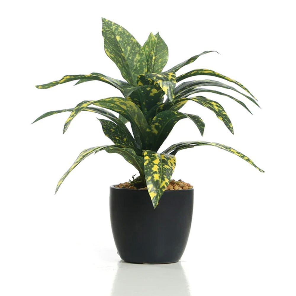 Fourwalls Artificial Croton Bonsai Plant with a Ceramic Pot Buy