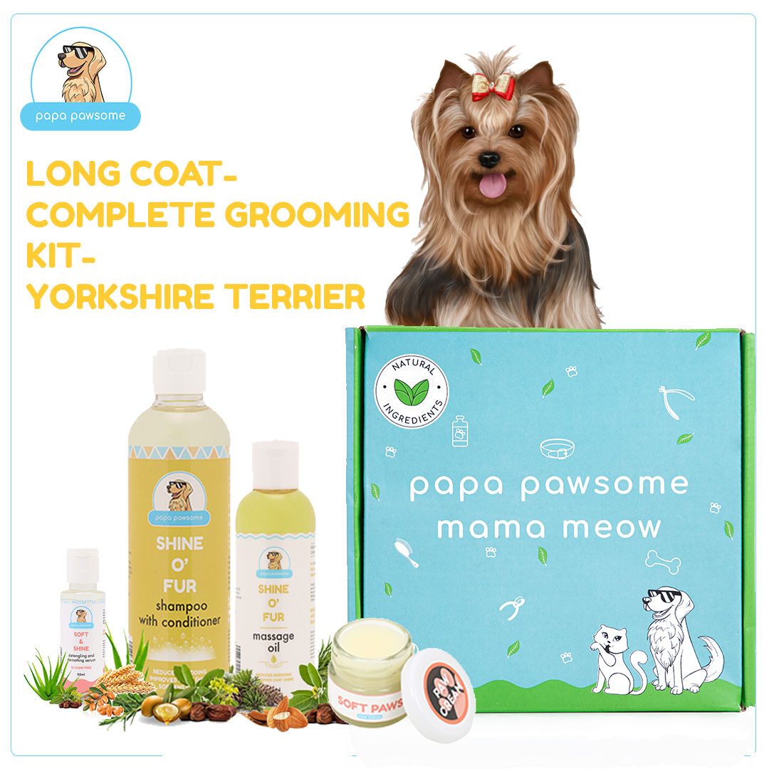 Papa Pawsome Long/drop Coat - Yorkshire Terrier - Complete Grooming Kit