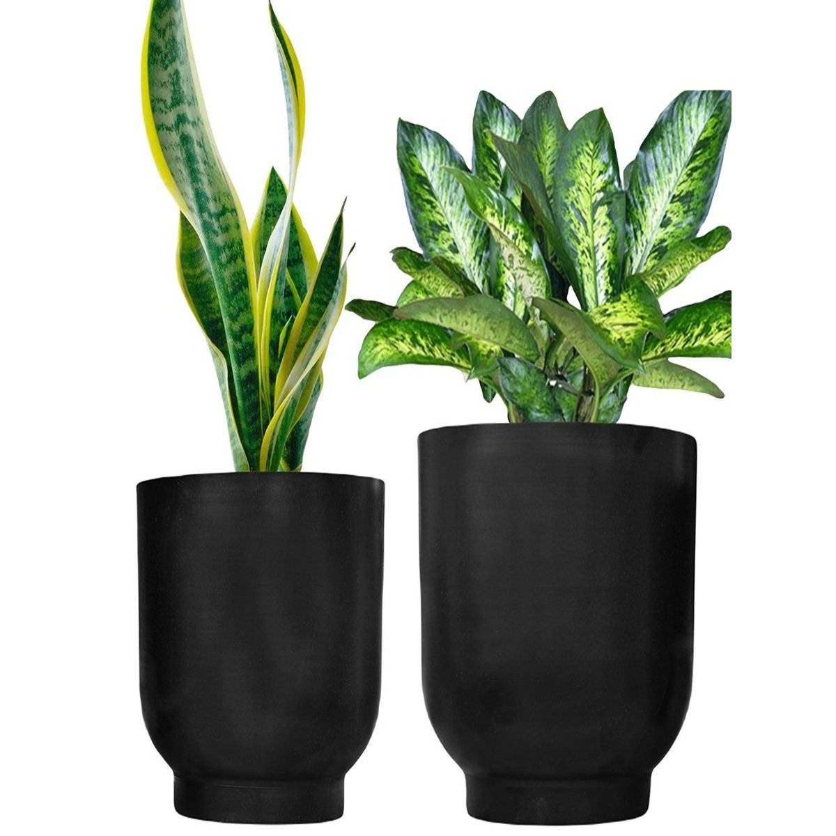 Ecofynd Eva Black Metal Pot