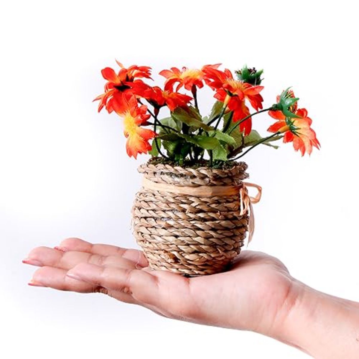 Itsy Bitsy Artificial Flower Dasiy Basket Orange Yellow 5Inch 1Pot Buy Itsy Bitsy Artificial