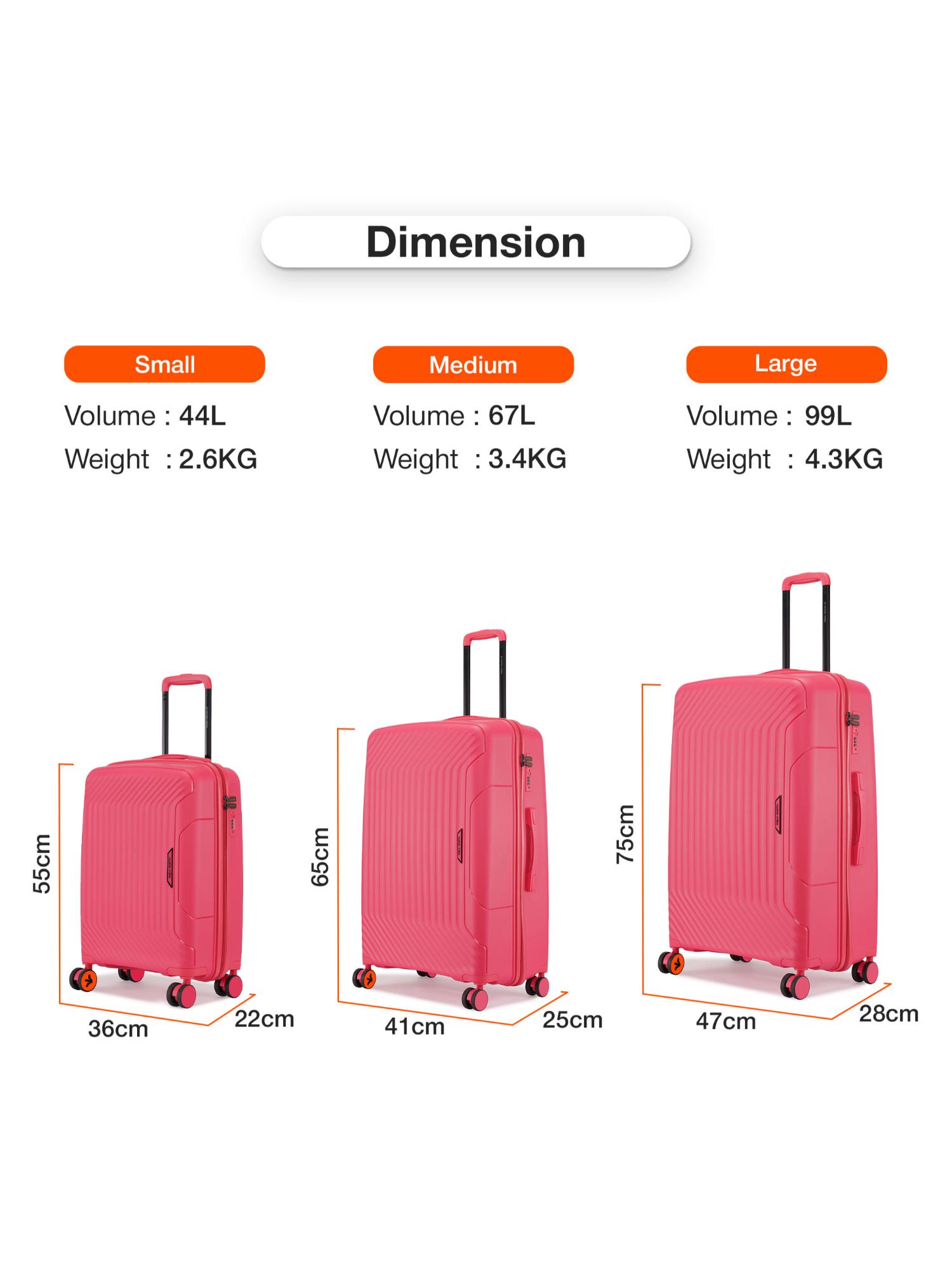 Buy Nasher Miles Unisex Pink Coorg Hard-Sided Polypropylene Black