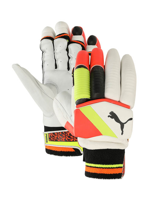 Puma Future Men's Multi-Color Cricket Batting Gloves