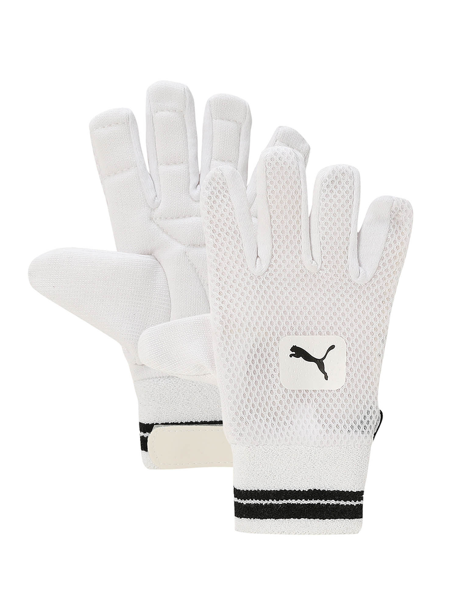 Buy Puma Future 3 Men s White Cricket Wicket Keeping Gloves Online