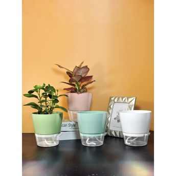 product-image-lens
