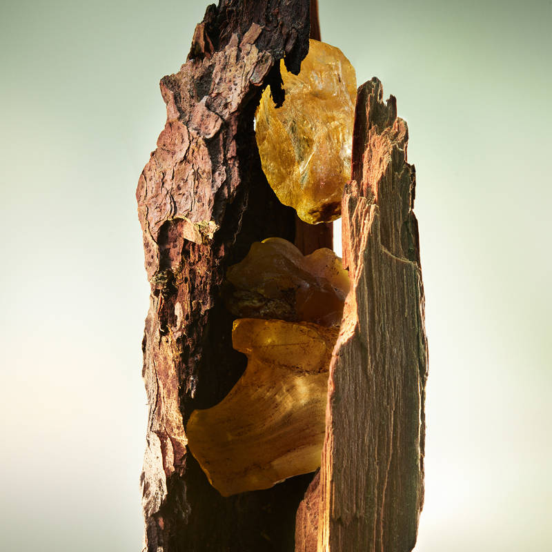 product image6