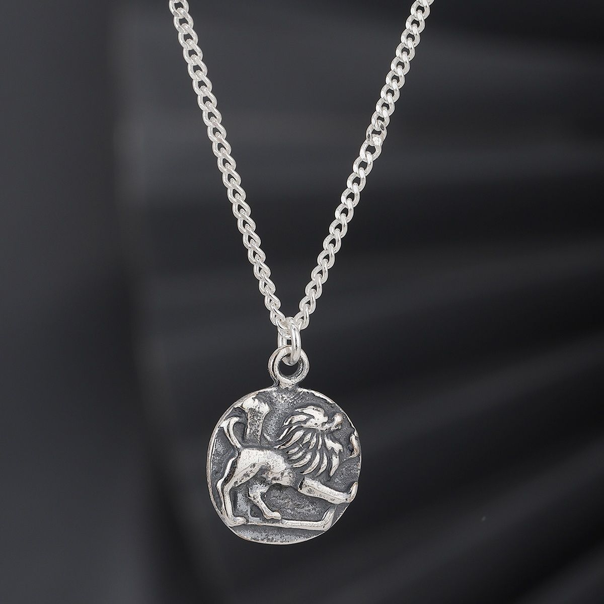 Zodiac Capricorn Necklace in Silver | MYEL Design