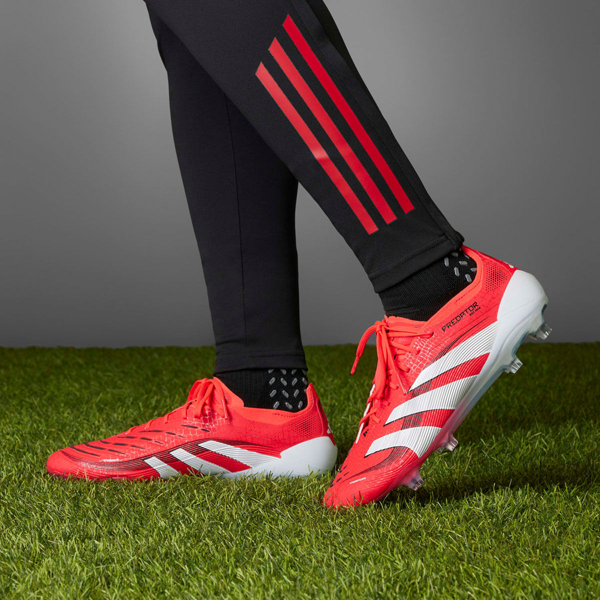 adidas Predator サッカーシューズ レッド Buy adidas Predator Elite Fg Unisex Red Football Shoes Online