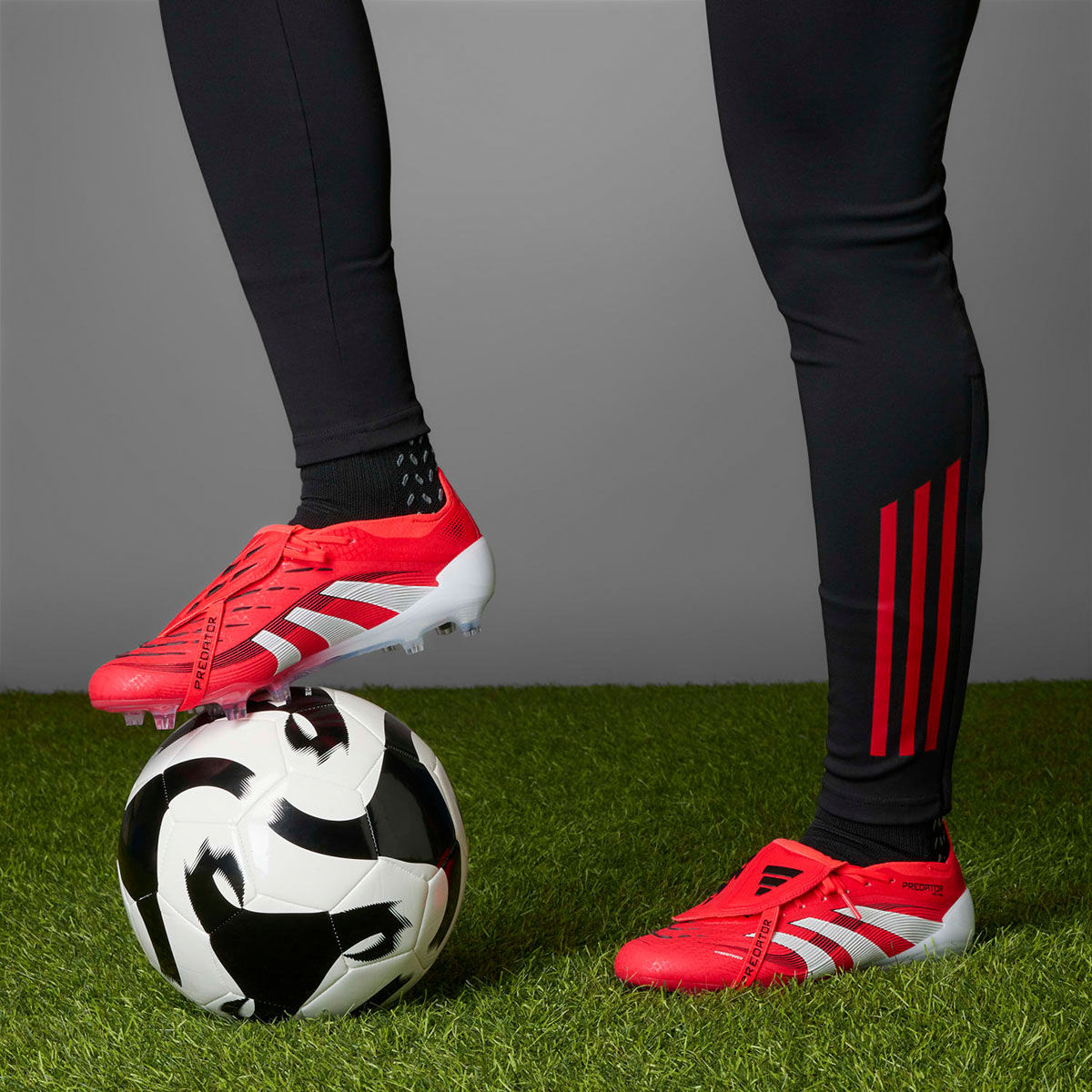 Buy adidas Predator Elite Ft Fg Unisex Red Football Shoes Online