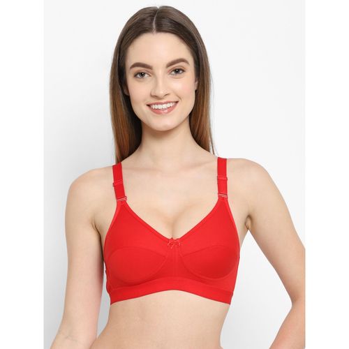 https://images-static.nykaa.com/media/catalog/product/b/6/b60ac0cCandy-Red-Red_2.jpg?tr=w-500