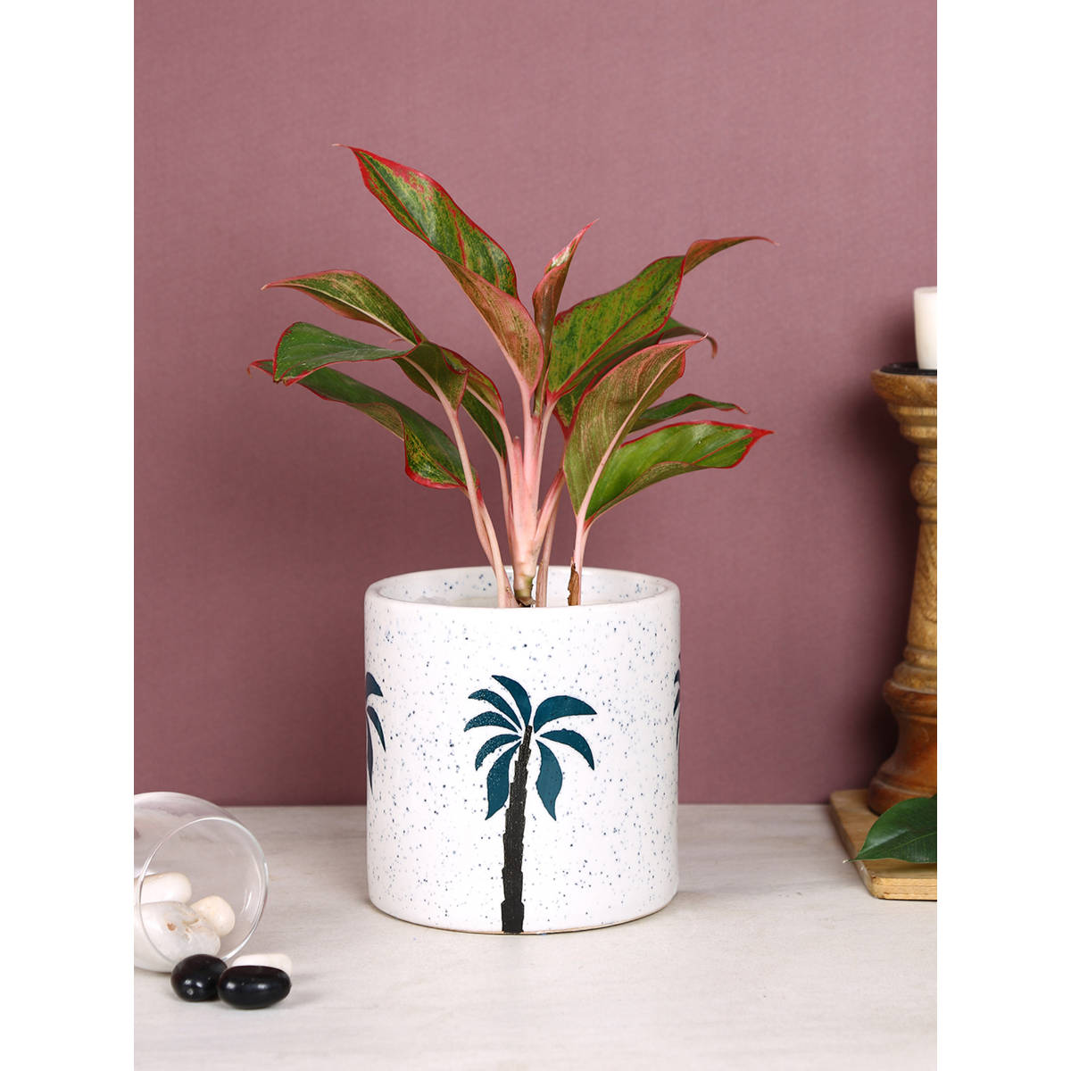 AAPNO RAJASTHAN Tree Print Ceramic Pot for Desk
