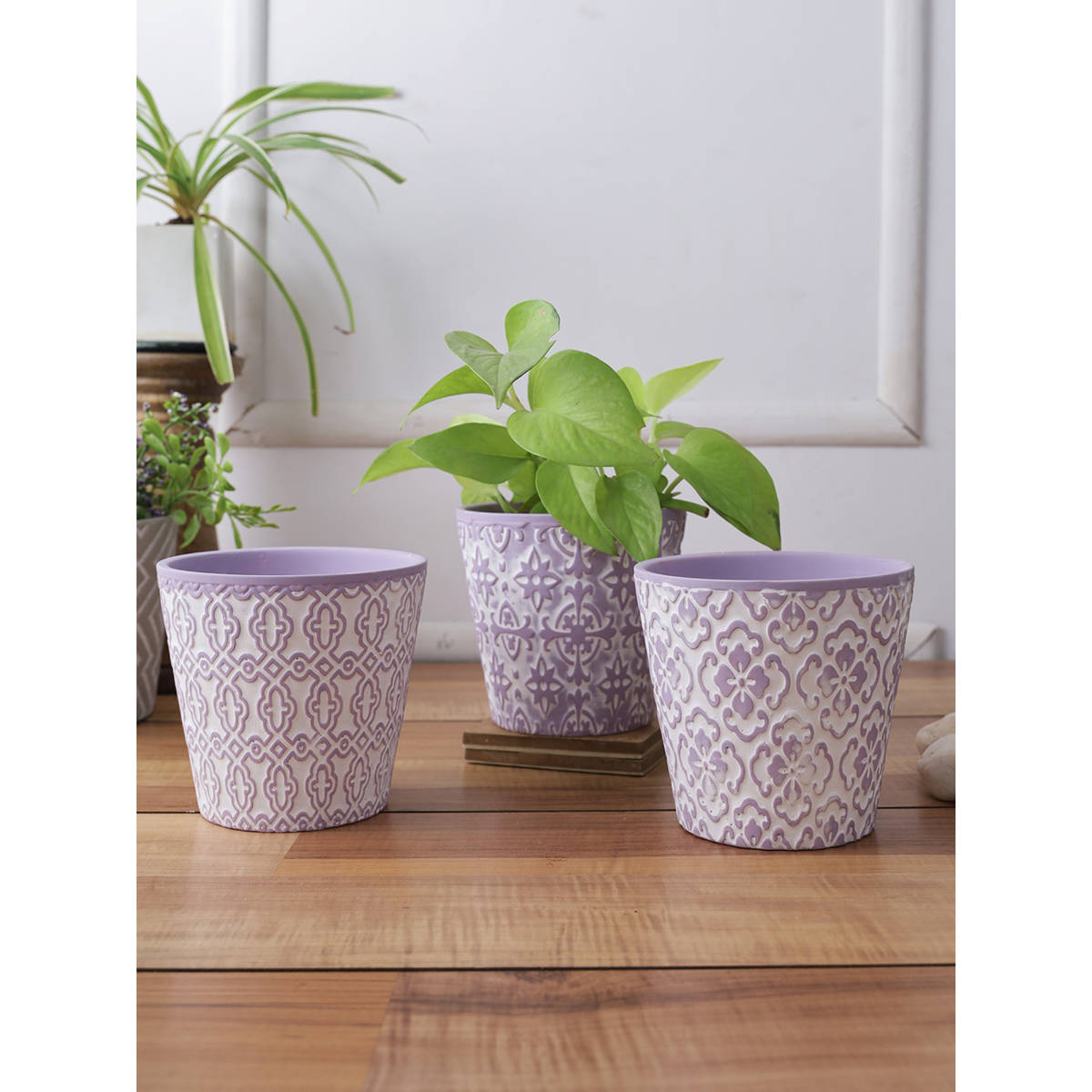 Tayhaa Set of 3 Purple Colored Planters with White Tribal Design