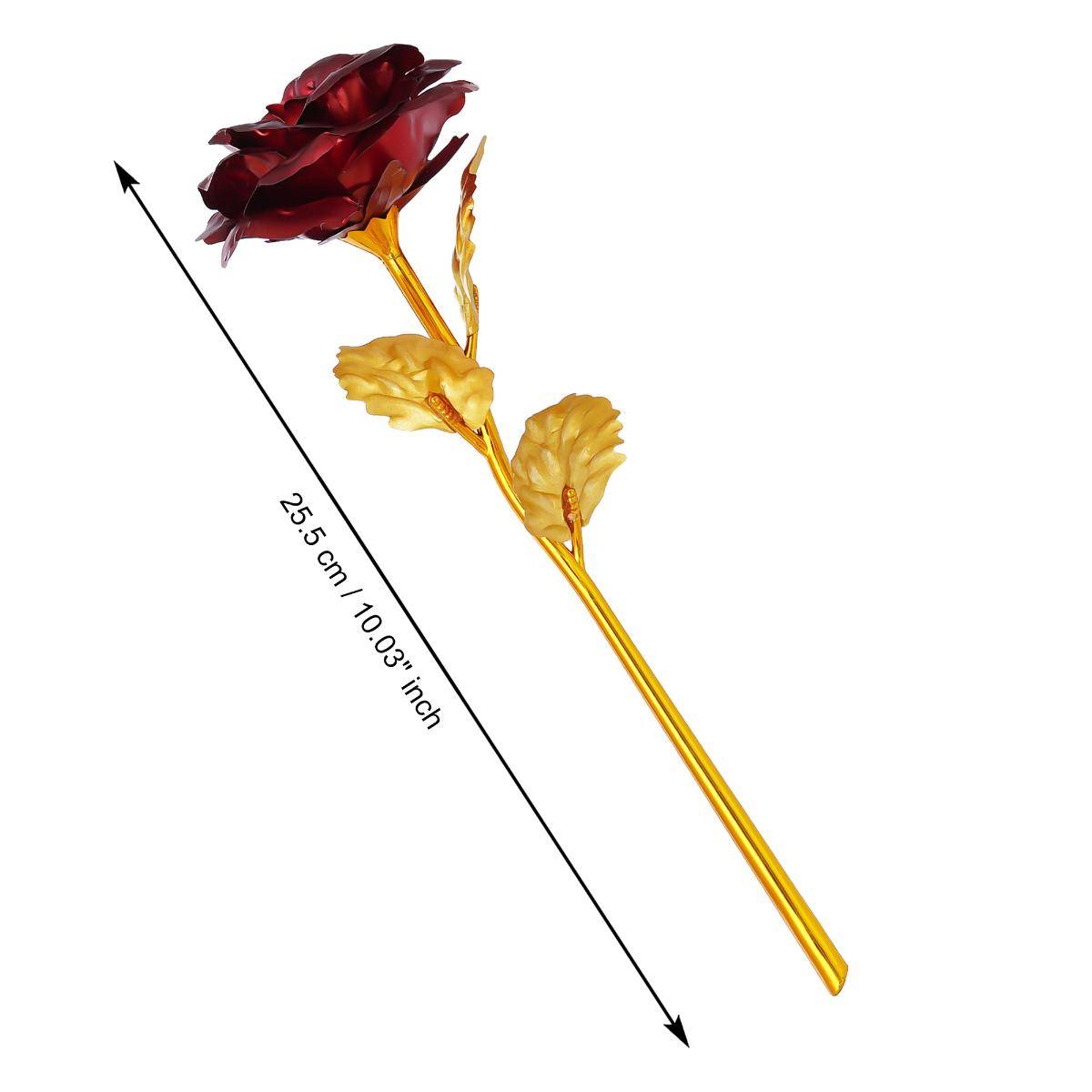 product image5