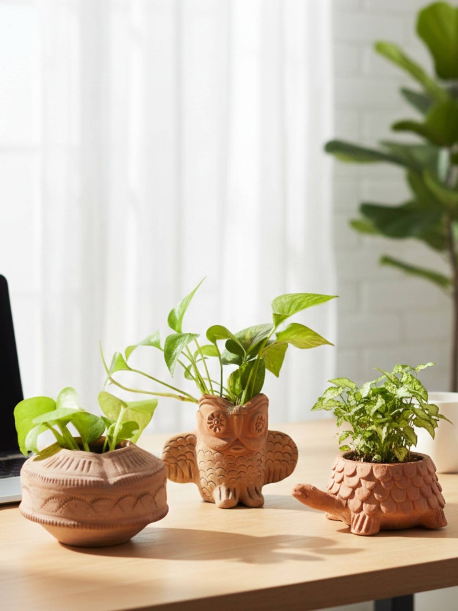 Swadeh Desk Bloom Trio Planters (Set of 3)
