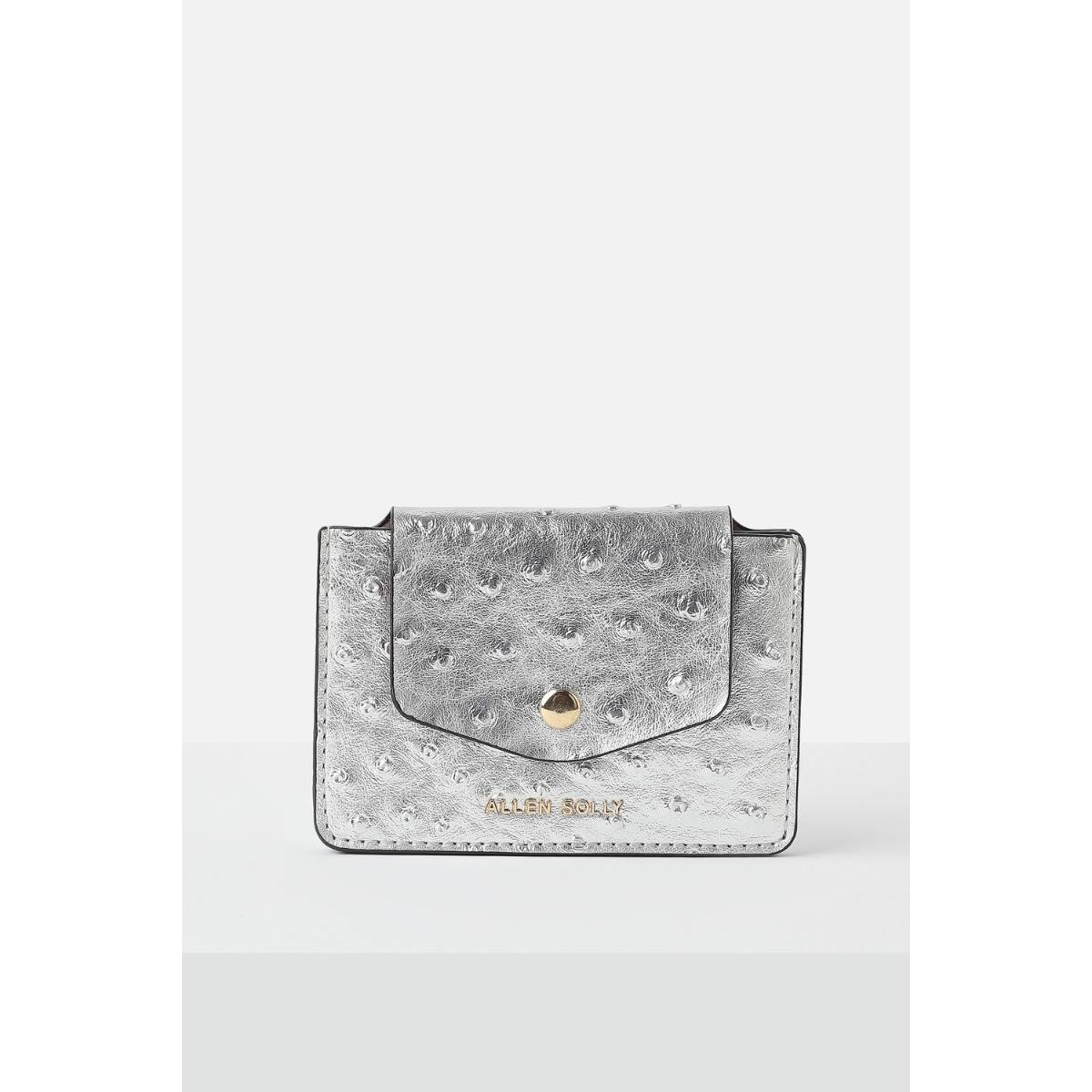 Allen Solly Women Silver Casual Wallet