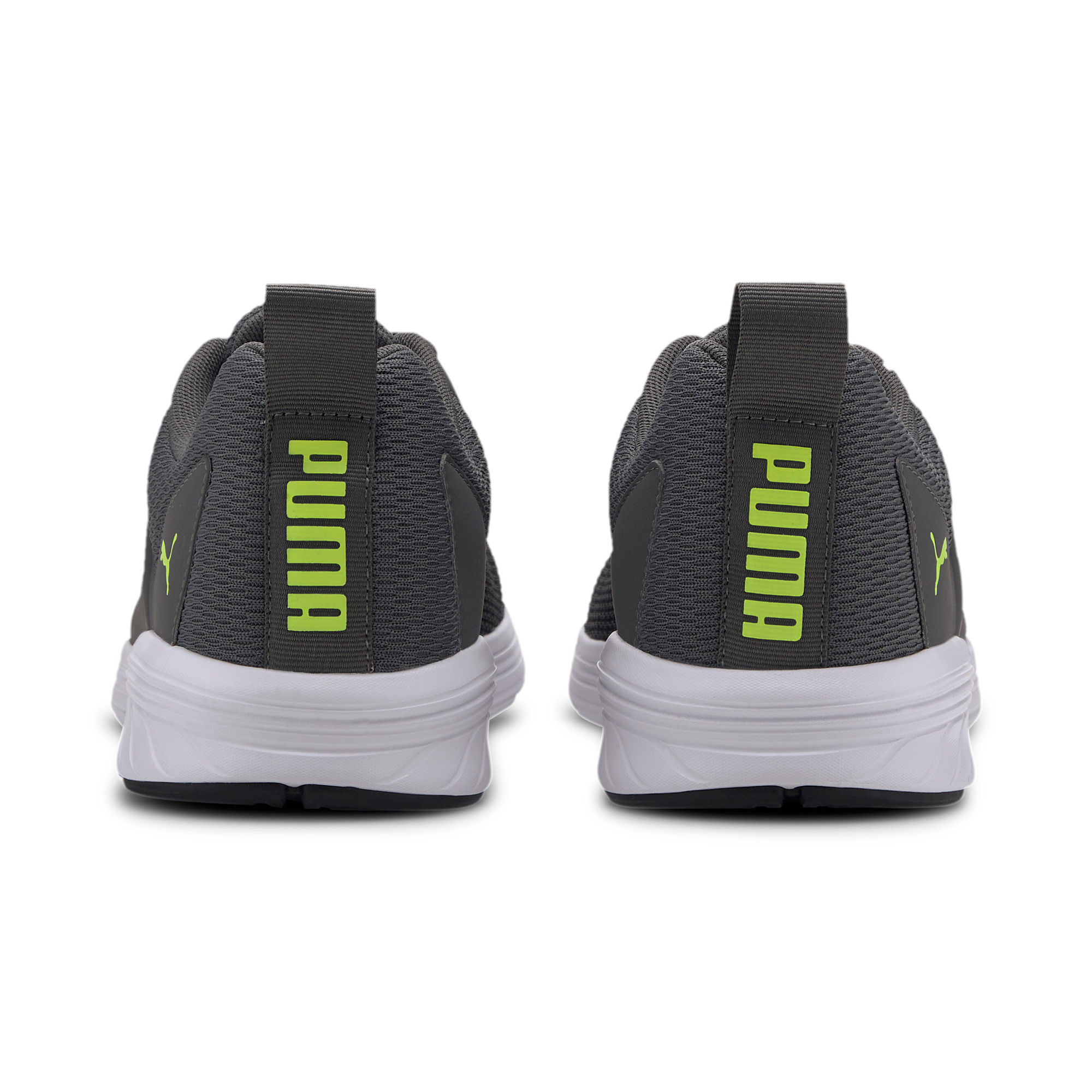 Puma asteroid 2025
