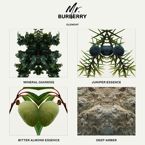 Burberry Mr Burberry Element Eau De Toilette Buy Burberry Mr Burberry Element Eau De Toilette Online At Best Price In India Nykaa Burberry indigo by burberry at sephora. burberry mr burberry element eau de toilette