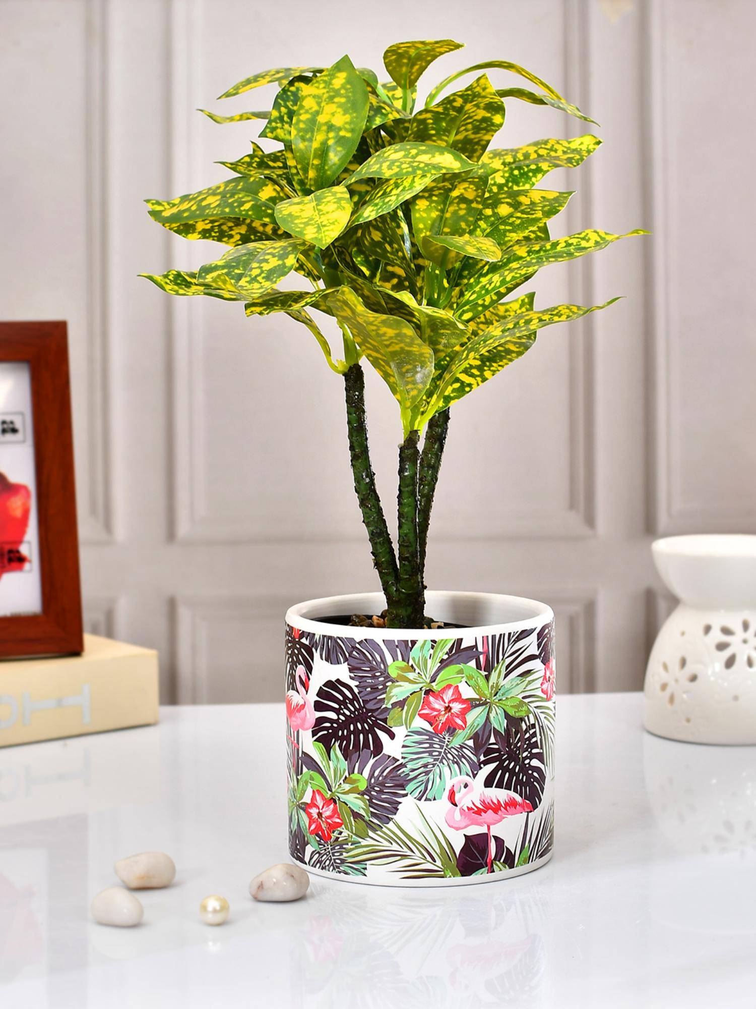 product image1
