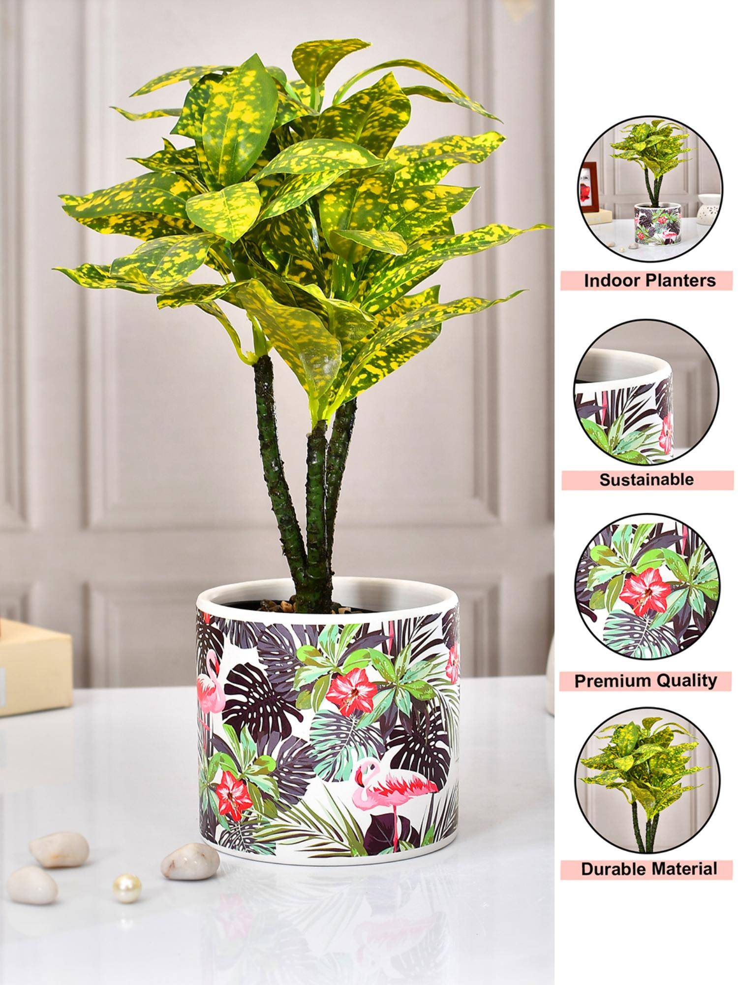 product image6