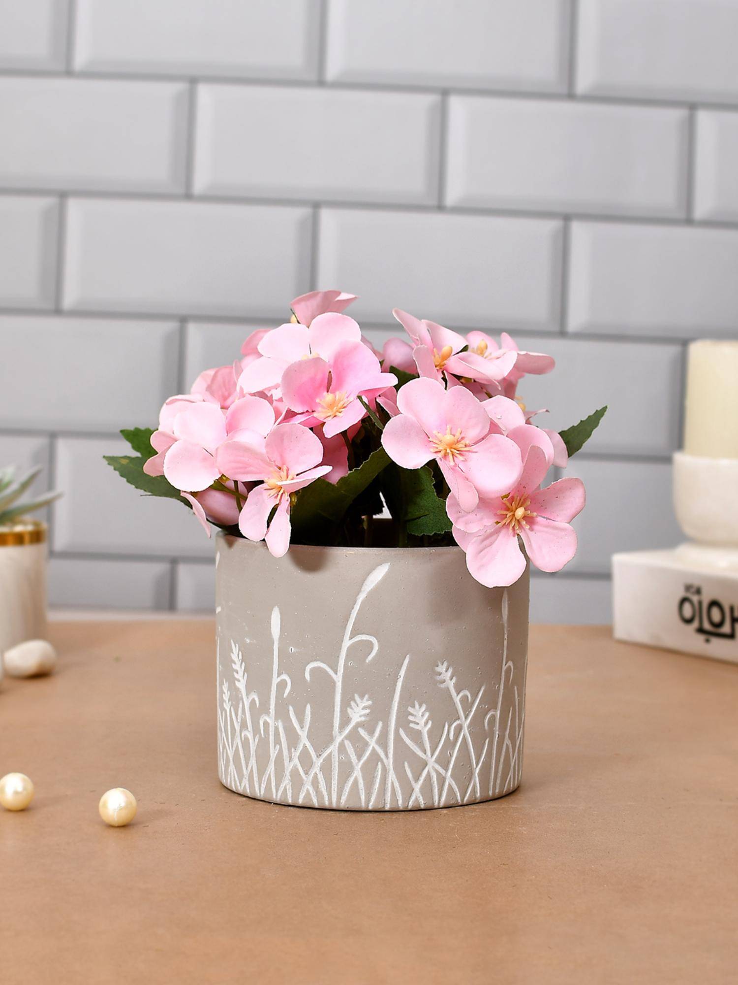 Tayhaa Ceramic Tropical Planter