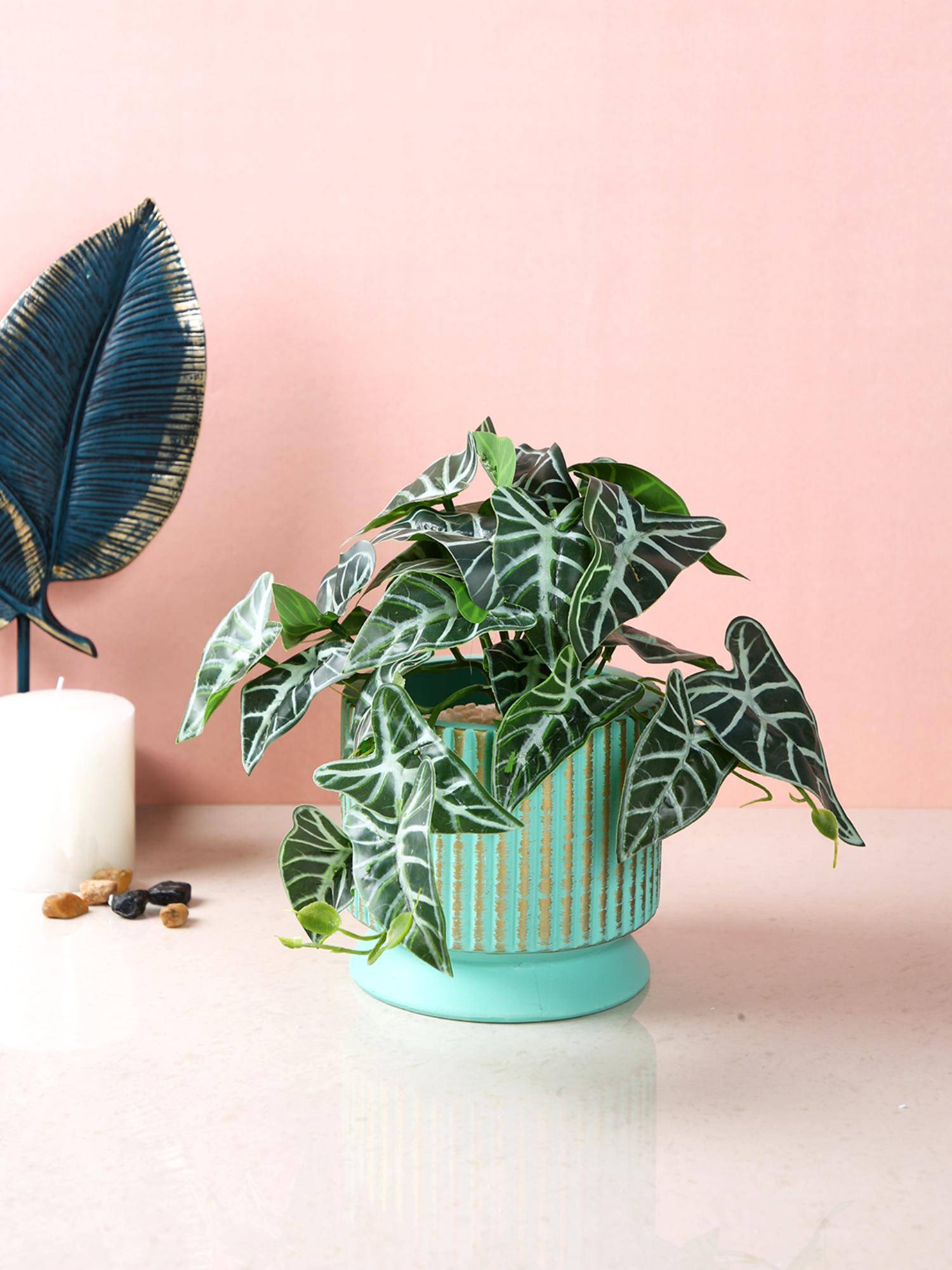 product image1