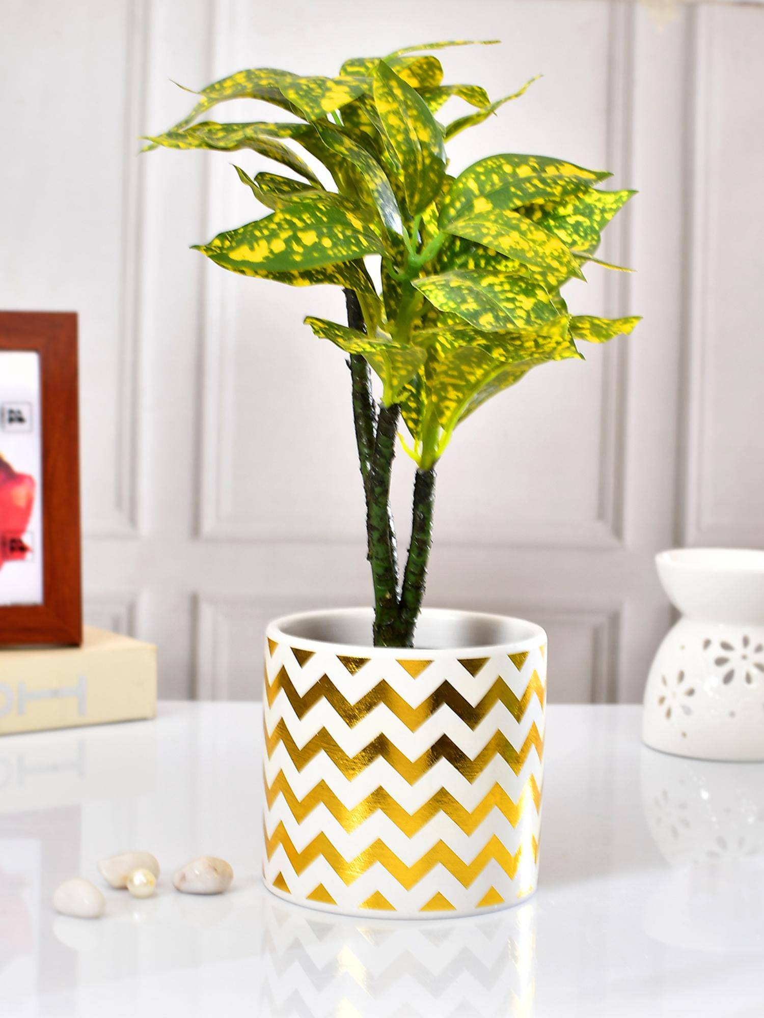 Tayhaa Zig-Zag Ceramic Planter