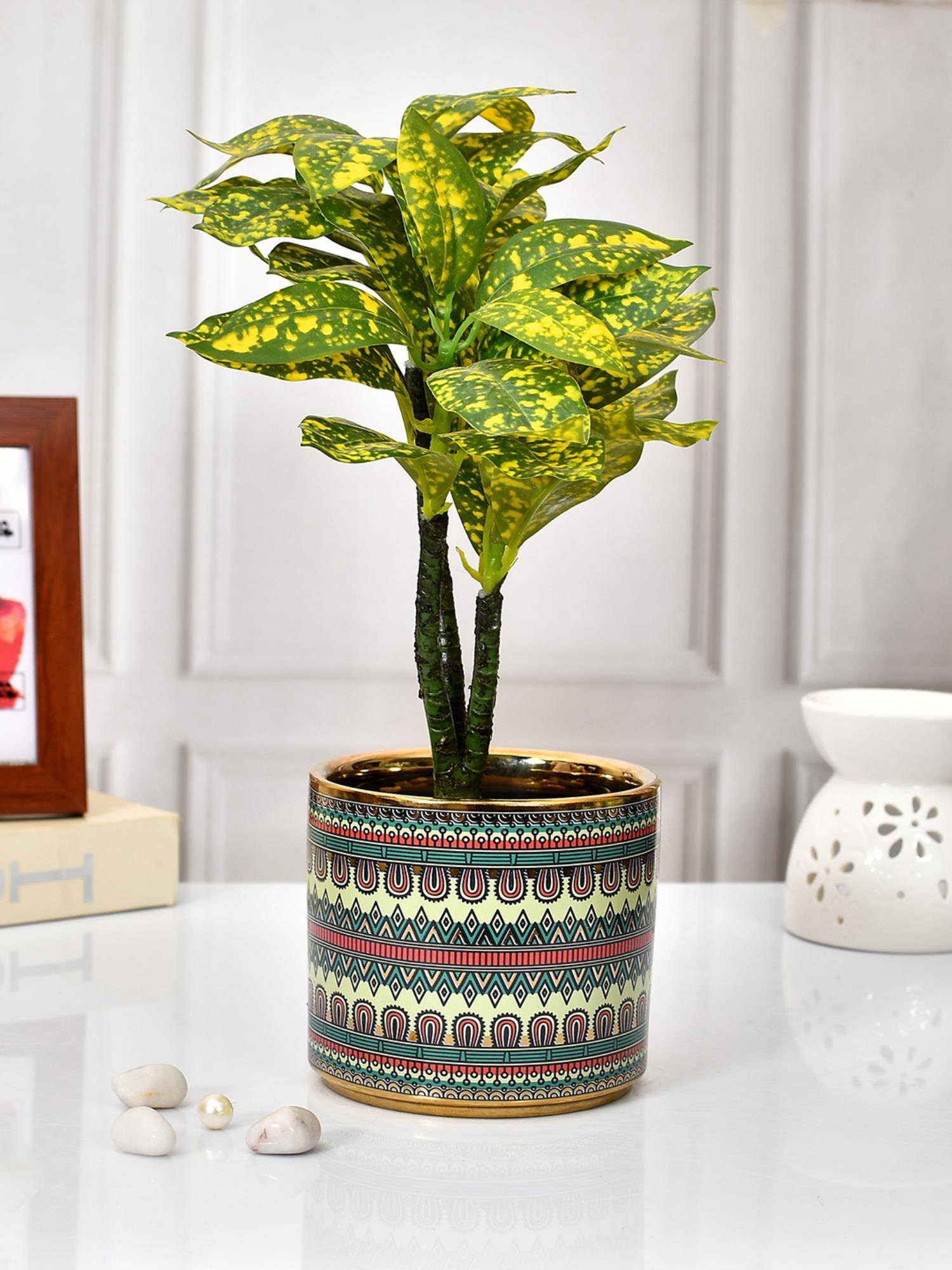 Tayhaa Multicolor Ceramic Planter
