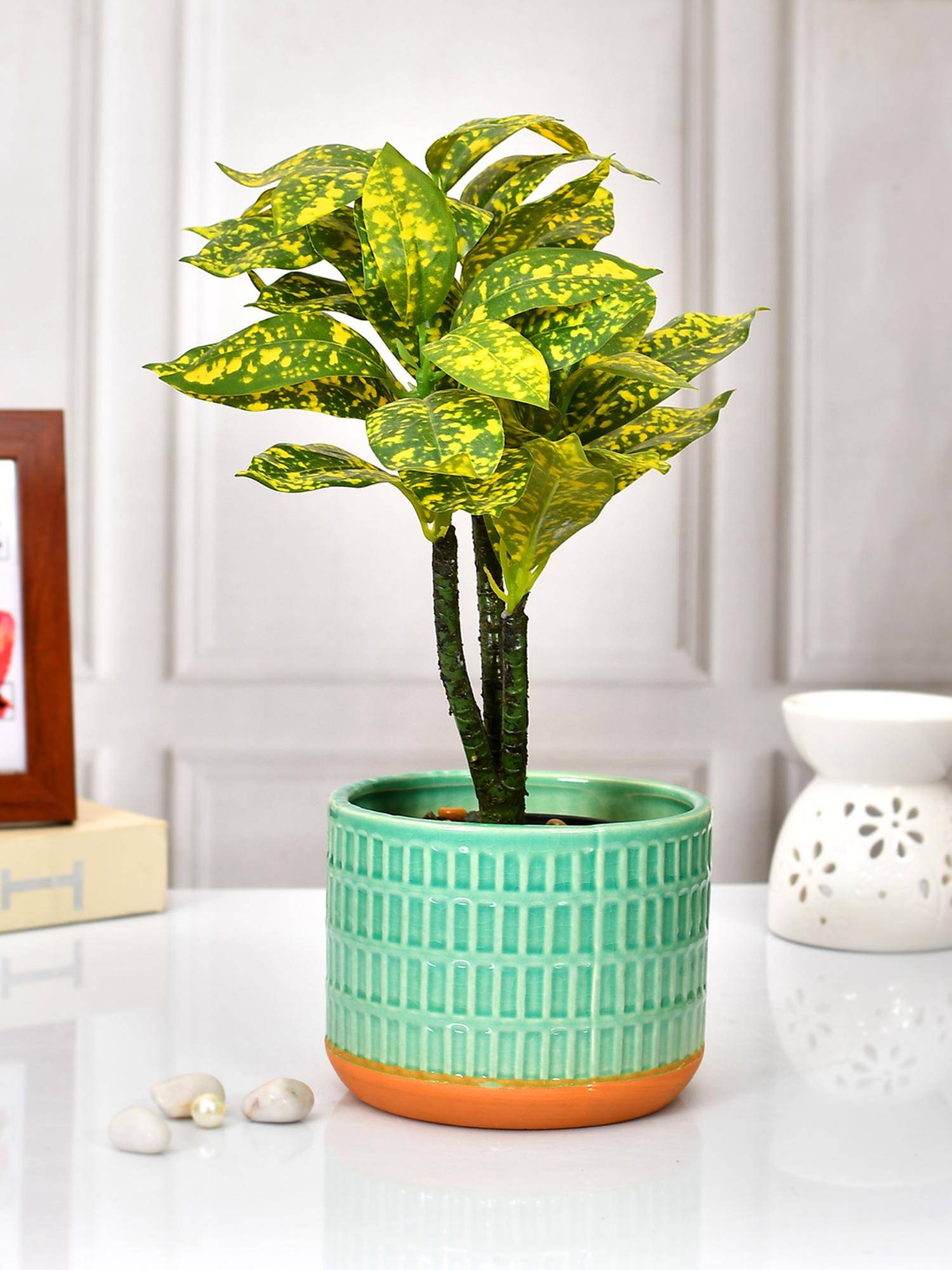 product image1