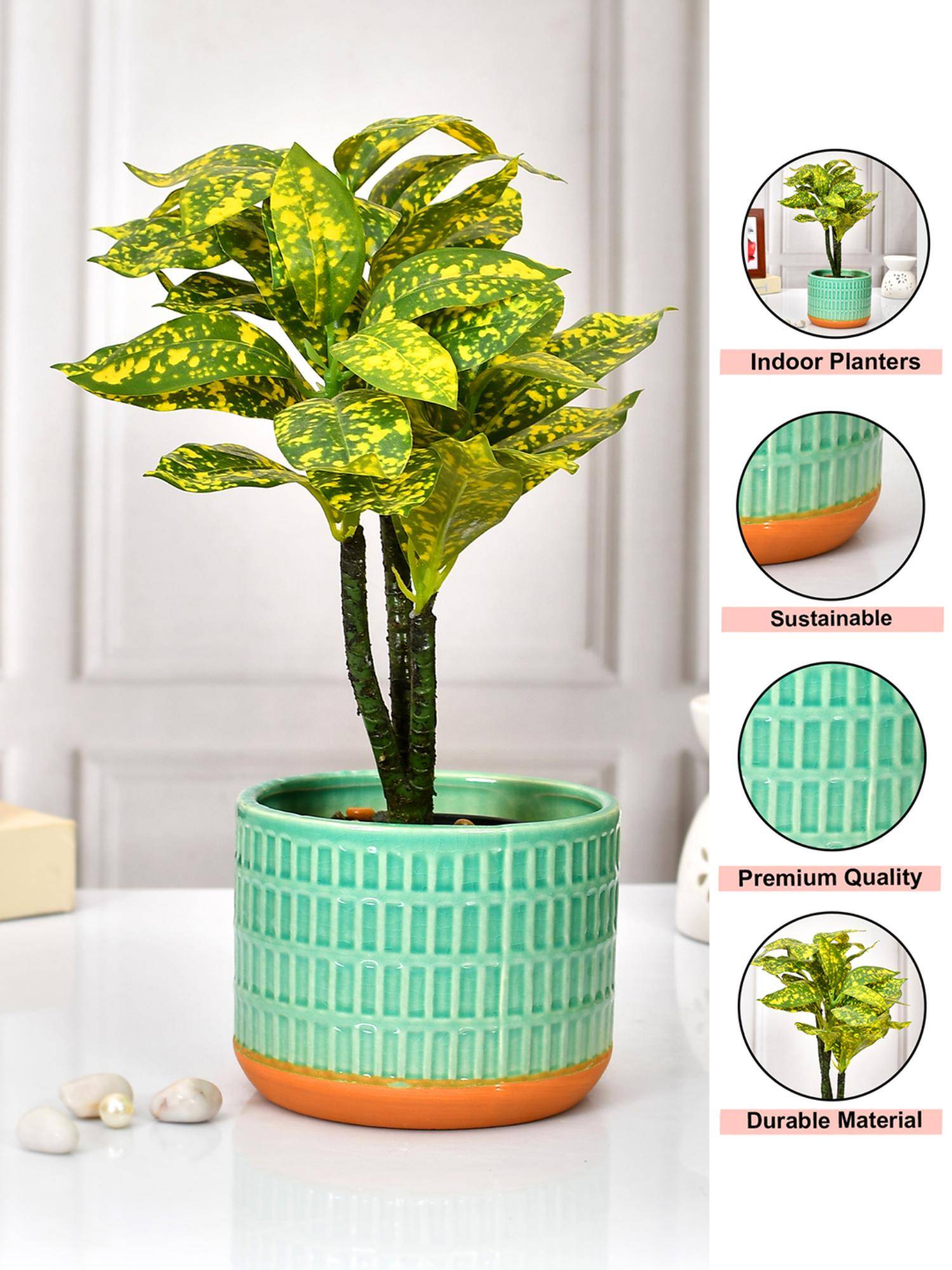 product image7
