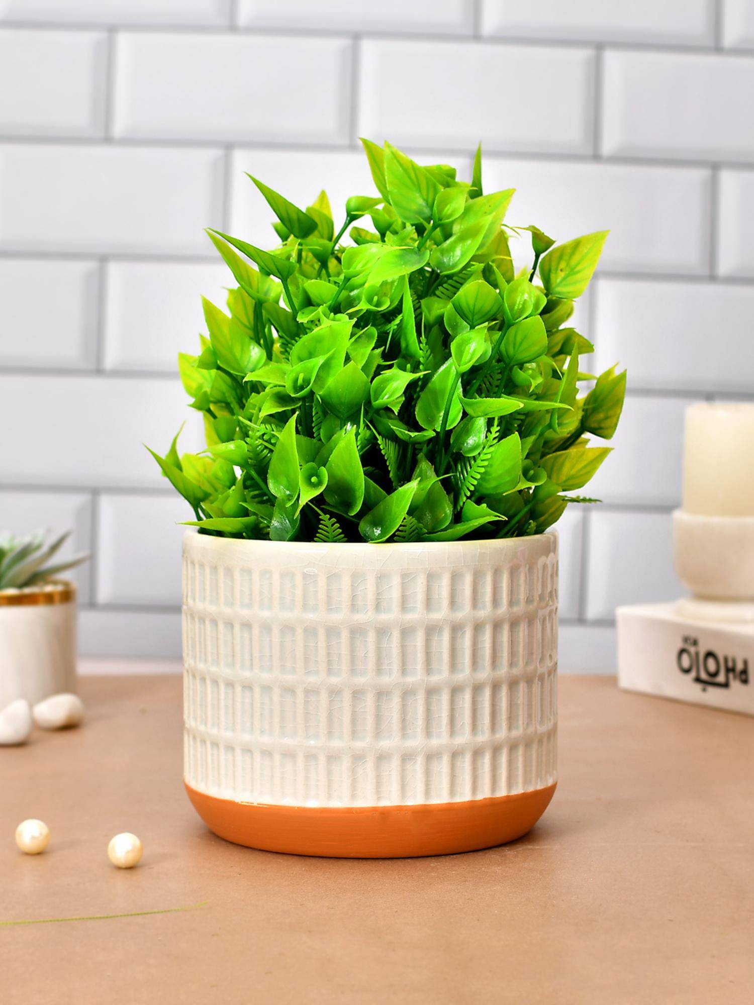 Tayhaa Cream Striped and Orange Ceramic Planter