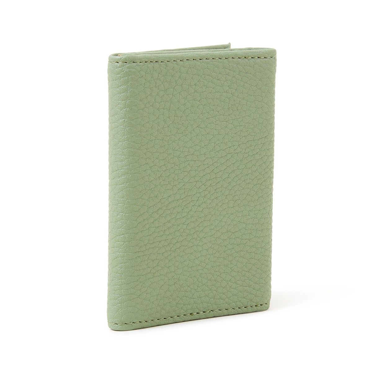 Buy Accessorize London Women Faux Leather Green Travel Card Holder Online