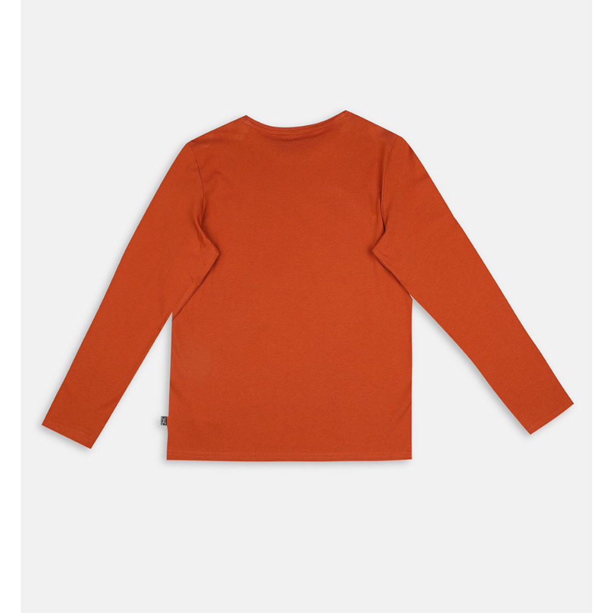 Puma Ess No 1 Logo Ls Boys Brown Tshirt Buy Puma Ess No 1 Logo Ls