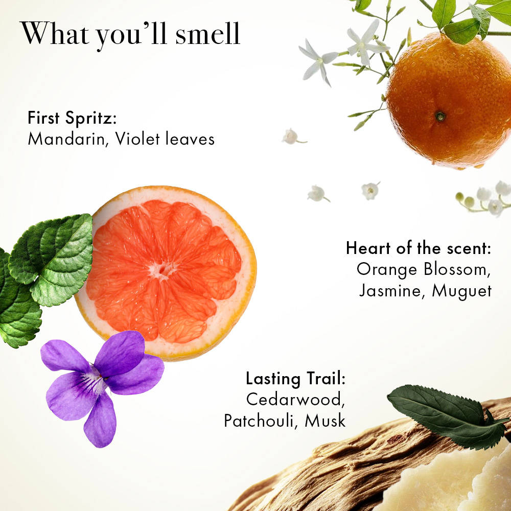 product image5