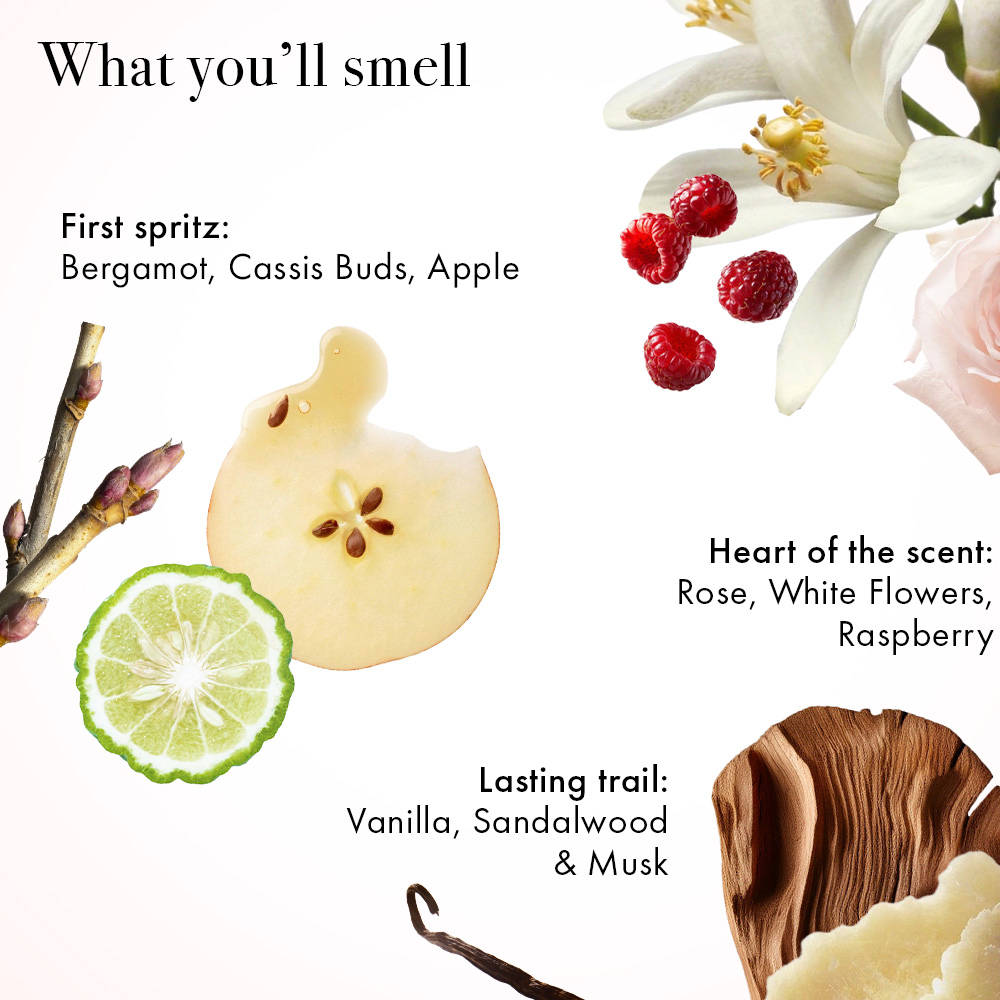 Maison Moi Bestselling Mini Luxury French Perfumes For Women... - view 13