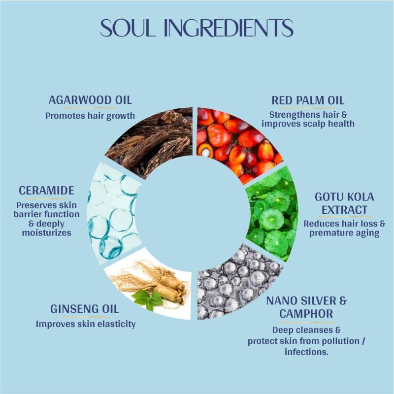 Buy Vedic Valley Refreshing Oud Wild Rose Hair & Body Wash Online