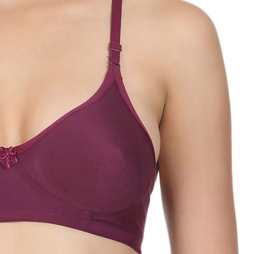 Buy Pack of 2 Bodycare Seamless Cup Bras in Red & Skin colour Online at Low  Prices in India 
