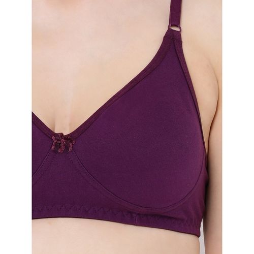 BigSaleDeals  Smoothie Non-Padded Non-Wired Full Coverage Bra in Purple -  Cotton Rich