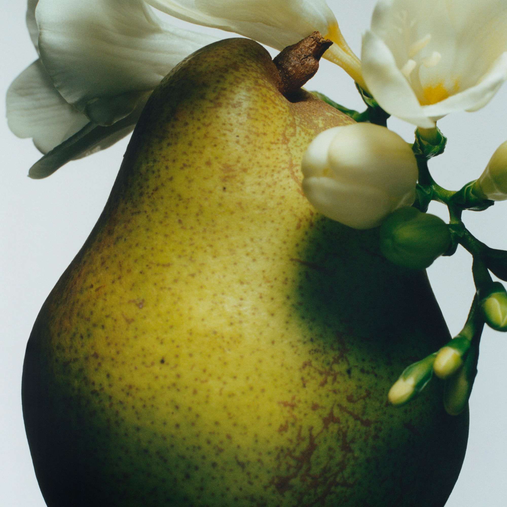 product image7