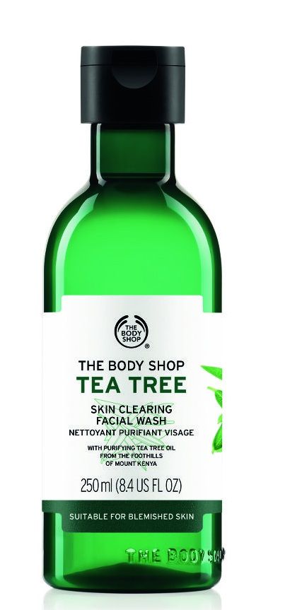 body shop body wash price