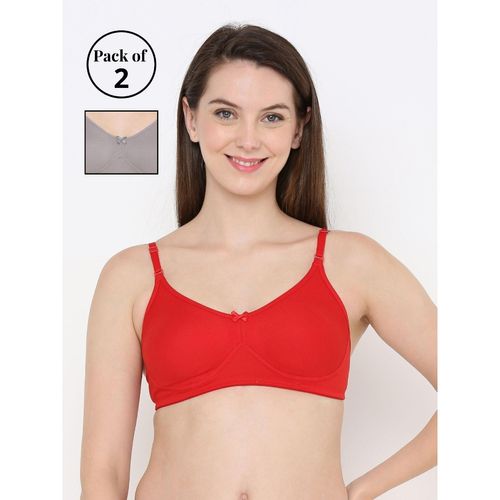 PolyCotton Padded Bra, Buy padded Polycotton bra online in India