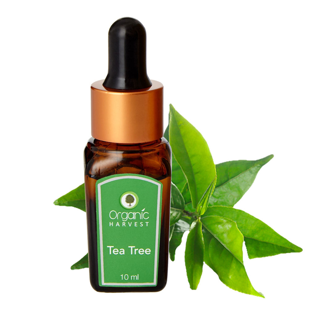 Organic Harvest Organic Tea Tree Essential Oil For Men & Women | Suitable For All Skin Types