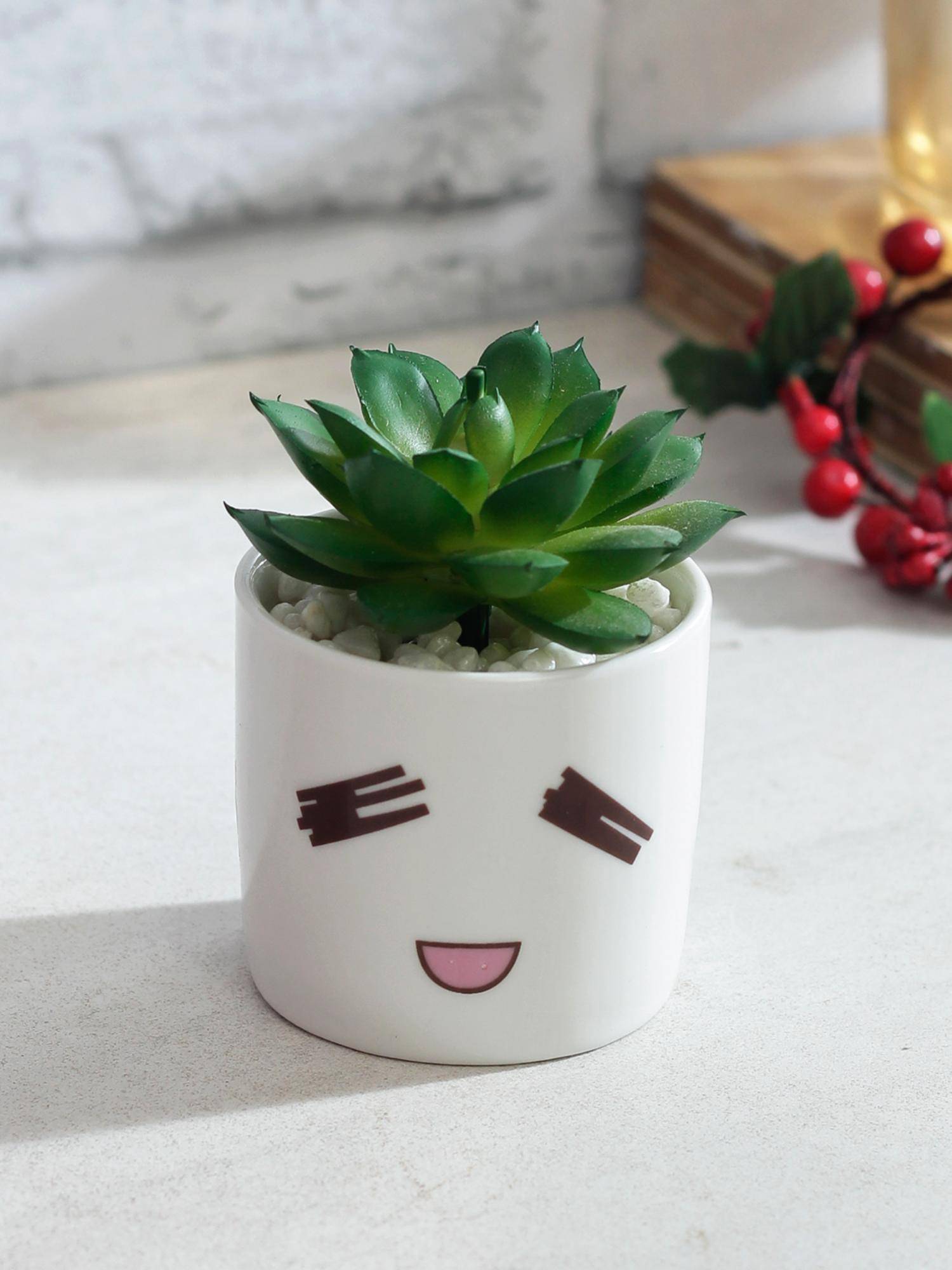 Tayhaa Bonsai Plant with White Pot