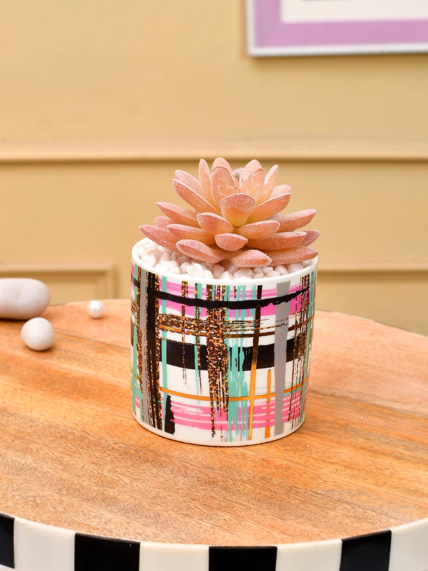 Tayhaa Multi-Color Succulent Artificial Plant with Stripes Along with Pot