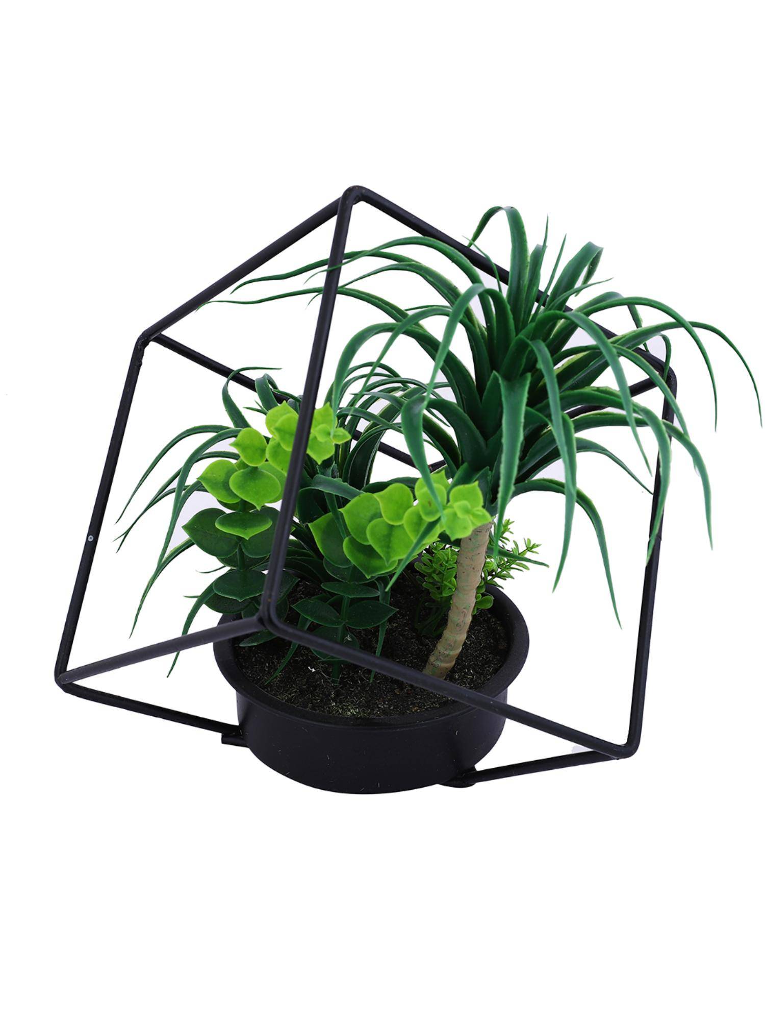 product image2