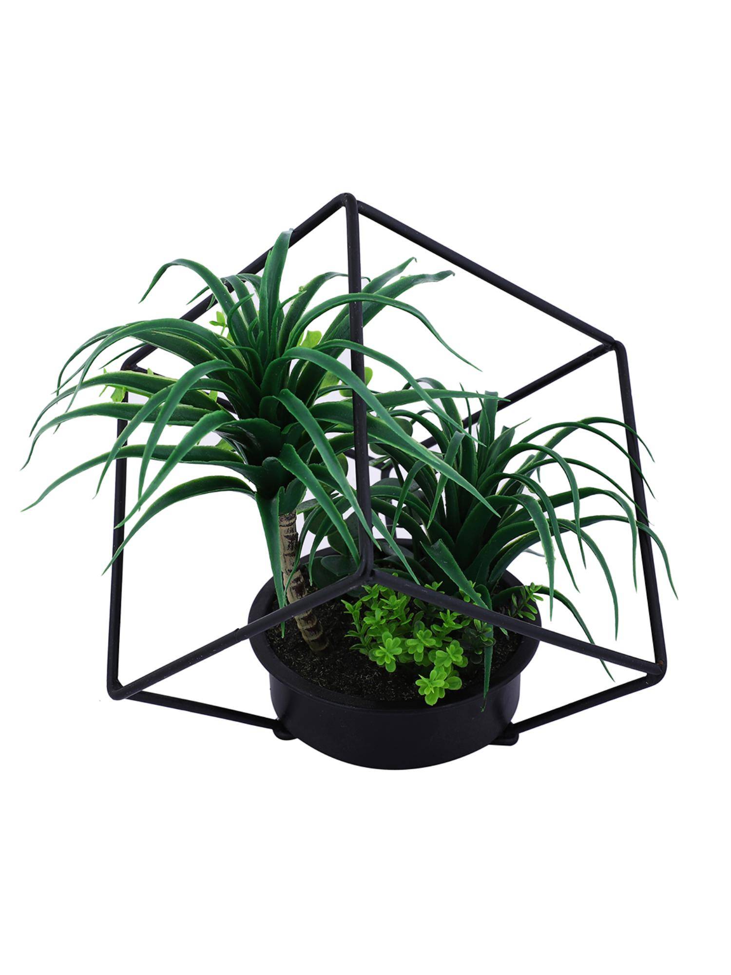 product image3
