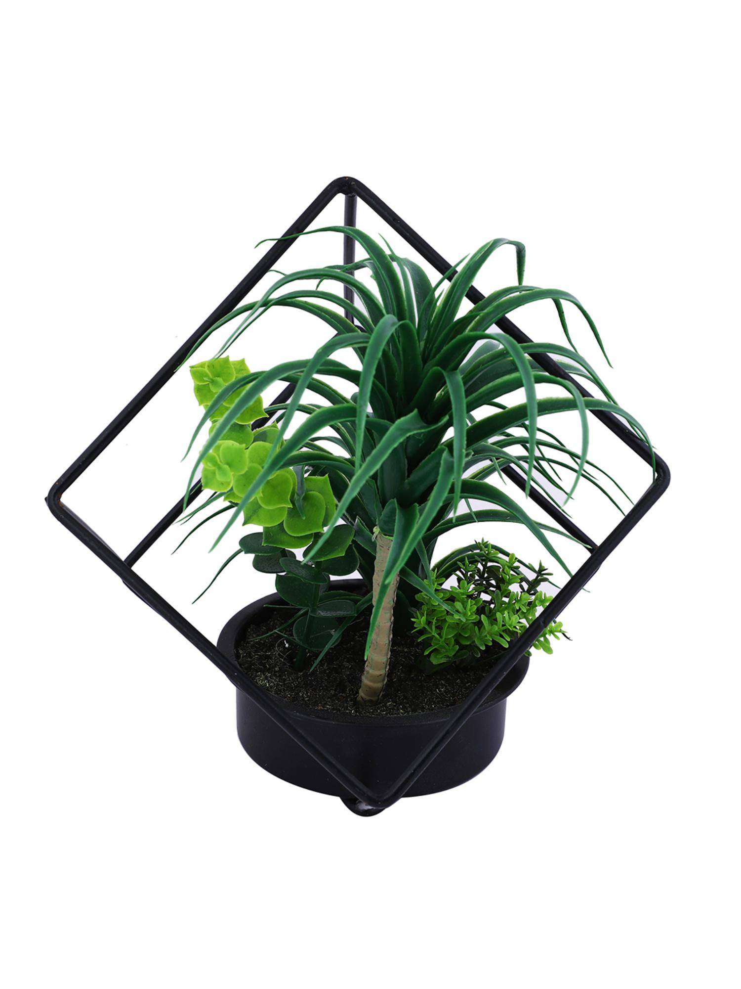 product image4